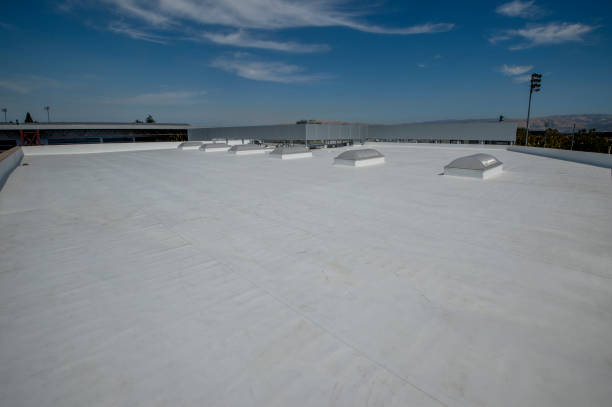 Best Hot Roofs  in Ladd, IL