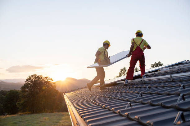 Best EPDM Roofing  in Ladd, IL