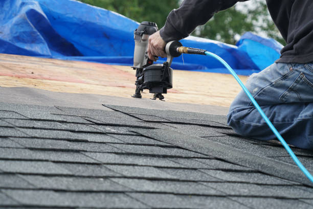 Best Flat Roofing  in Ladd, IL