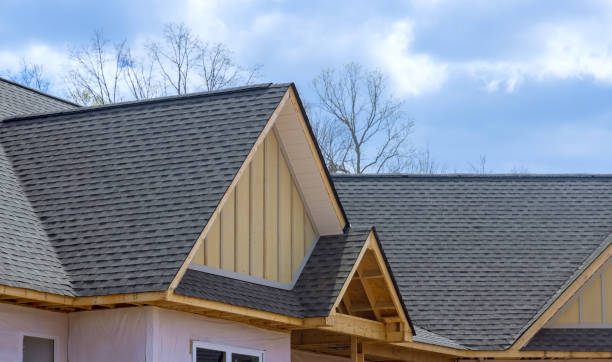 Gutter Replacement in Ladd, IL