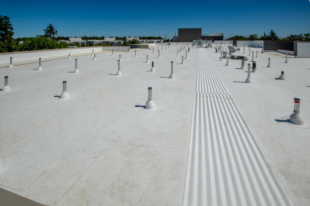 Best Green or Eco-Friendly Roofing Solutions  in Ladd, IL